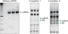 Adapter dimers (AD) and contaminating RNAs steal your reads during miRNA sequencing experiments