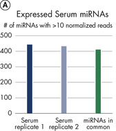 Robust detection of miRNA