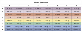 Plate layout of QIAseq miRNA Library QC PCR Panel (96-well plate).