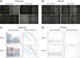 QIAseq 16S/ITS Panels employ phased primers to increases base diversity and quality scores.