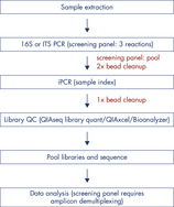 Workflow of the QIAseq 16S/ITS Panels.