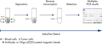 AdnaTest Detect – Multiplex PCR of various cancer-associated tumor markers