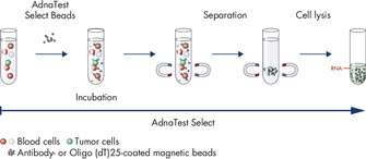 AdnaTest Select – Immunomagnetic cell selection with multiple tumor-associated