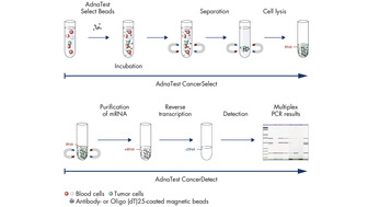 AdnaTest workflow