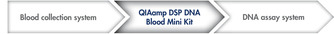 QIAamp DSP DNA Blood Mini Kit工作流程。