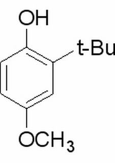 3-叔丁基-4-羟基苯甲醚 标准品 0.25g