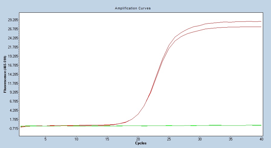 Human HPRT1 qPCR 4865