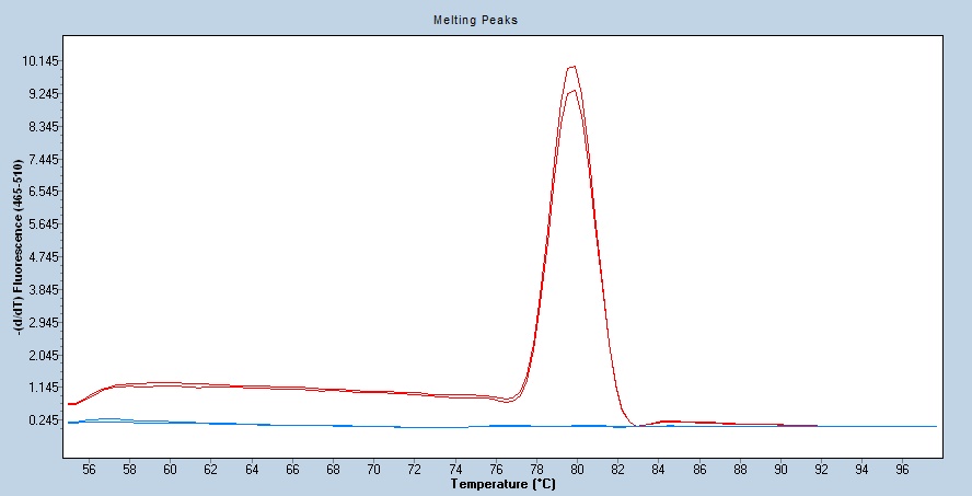 Human HPRT1 qPCR 4864