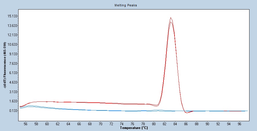 Human HSP90/HSP90AB1 qPCR 4862