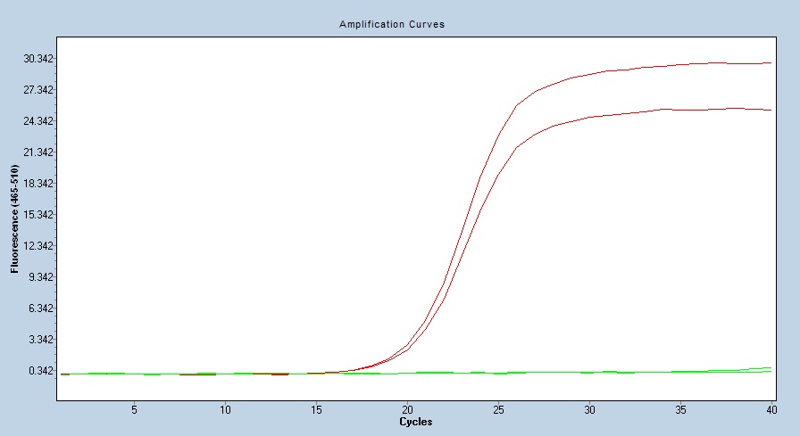 Human LDH-A / LDHA qPCR 2696