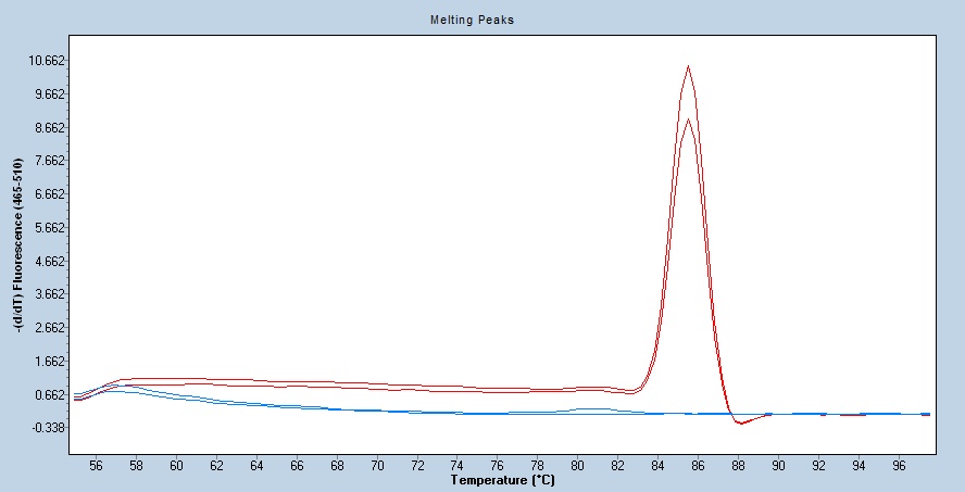 Human LDH-A / LDHA qPCR 2695