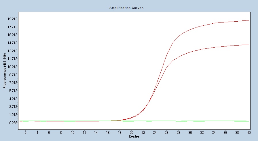 Human NONO/p54nrb qPCR 2667