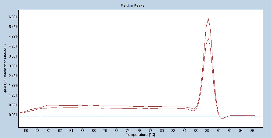 Human NONO/p54nrb qPCR 2666