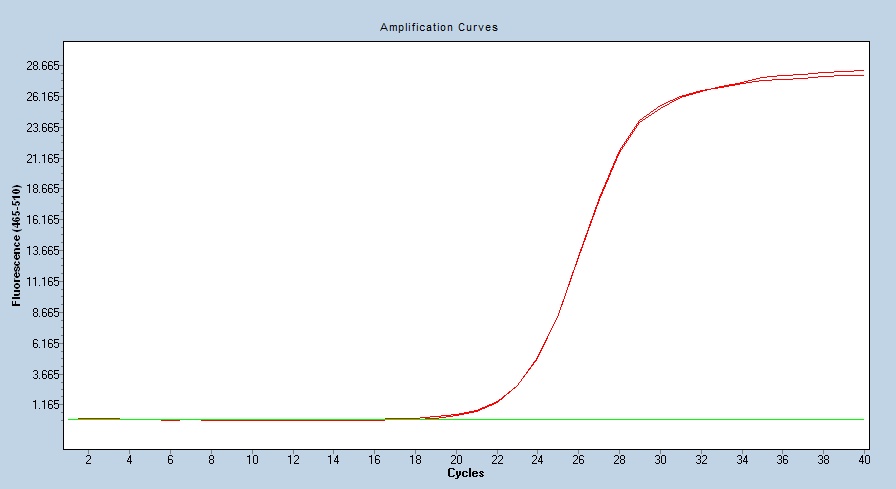 Human PGK1 qPCR 2653