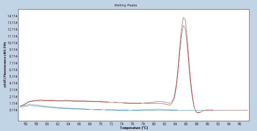 Human Cyclophilin A qPCR 2650