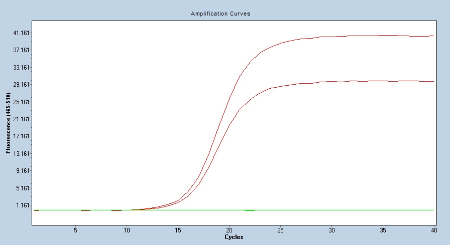 Human IL6R/IL-6R/CD126 qPCR 4810