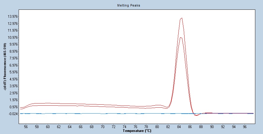 Human Cadherin-12/CDH12 qPCR 5485