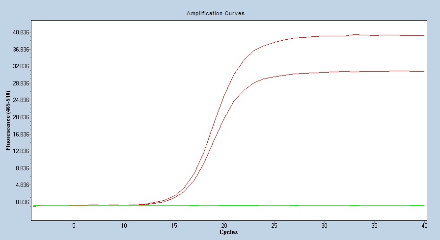 Human MMP-8 / MMP8 qPCR 2675