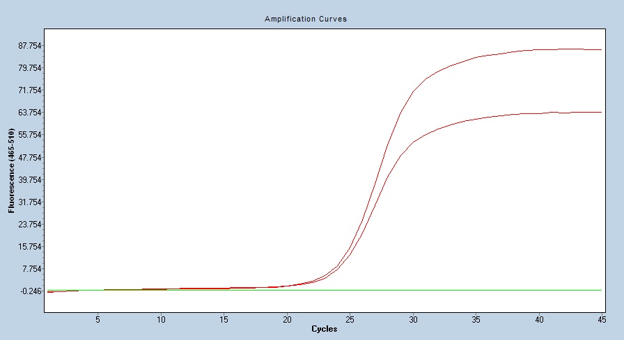 Human BACE1 qPCR 5534