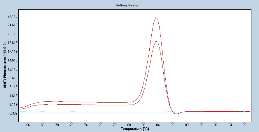 Human BACE1 qPCR 5533