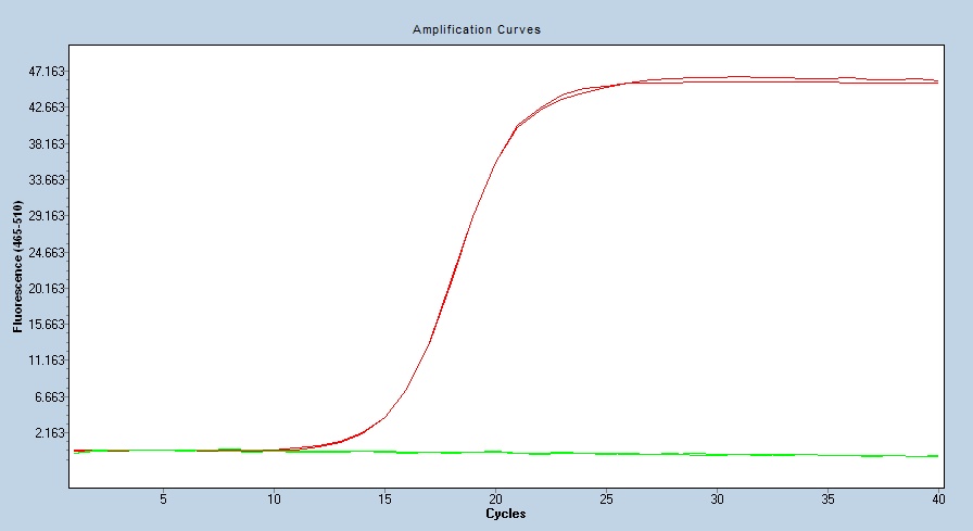 Human GBA3 qPCR 4880