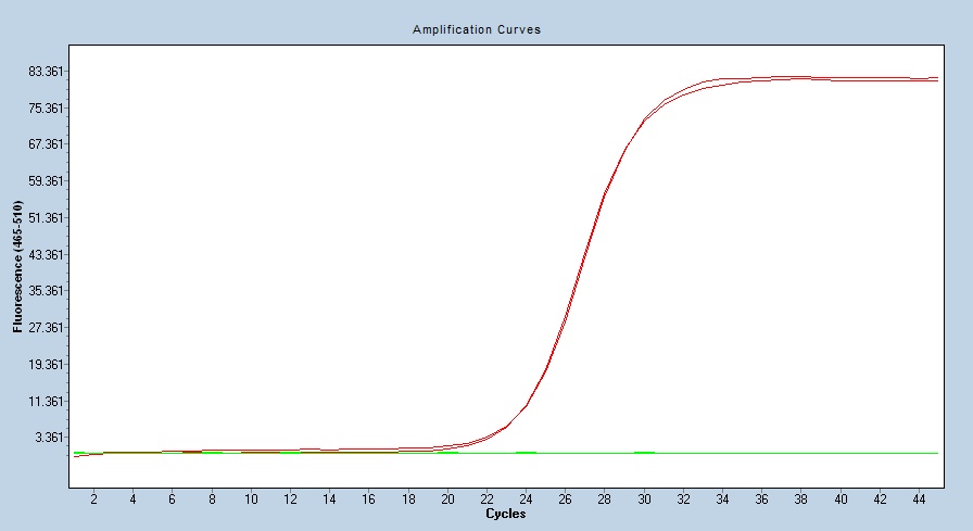 Human CD132 / IL2RG qPCR 4814