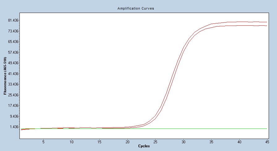 Human IL3RA/CD123 qPCR 4812