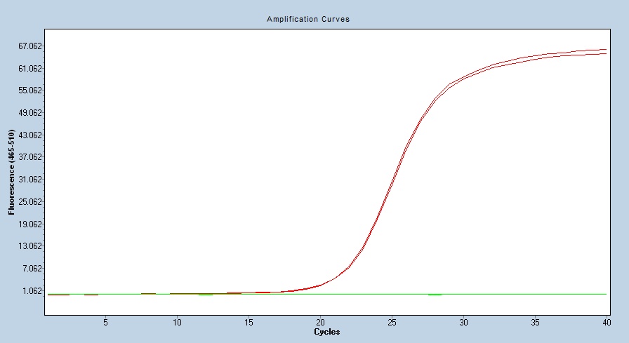 Human CD131/CSF2RB/IL3RB/IL5RB qPCR 5466