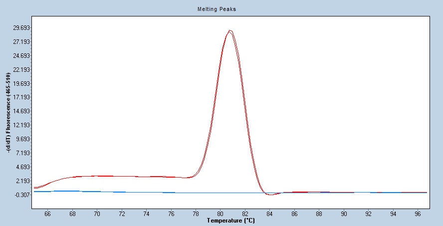 Human ARG1/Arginase 1 qPCR 5537