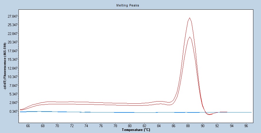 Human Angiotensinogen/SerpinA8 qPCR 5555