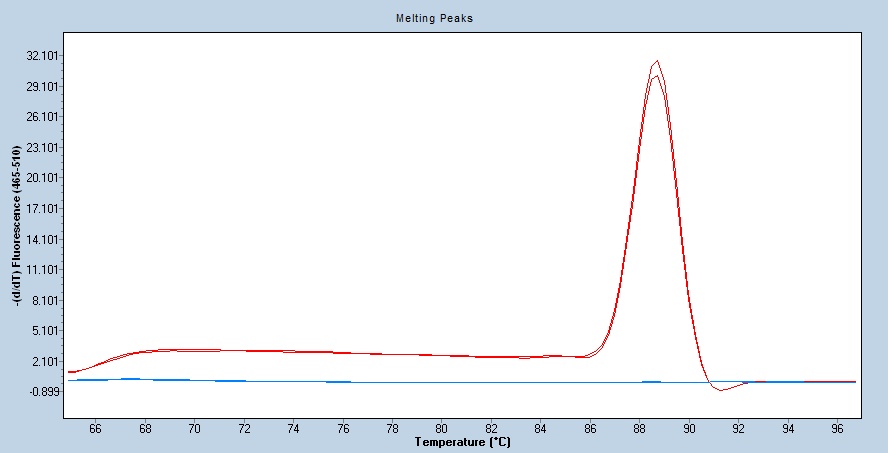 Human 4E-BP1/EIF4EBP1 qPCR 5457