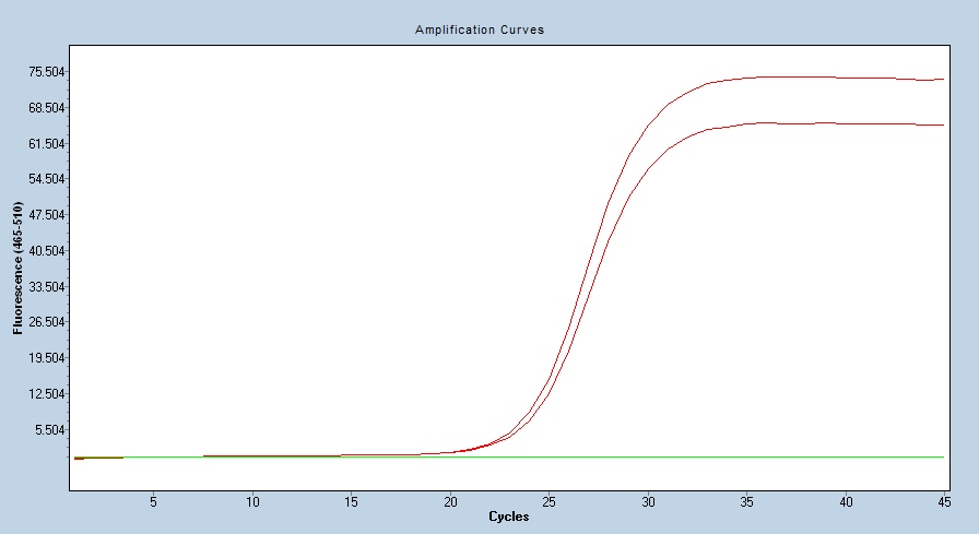 Human IGSF3 qPCR 4818