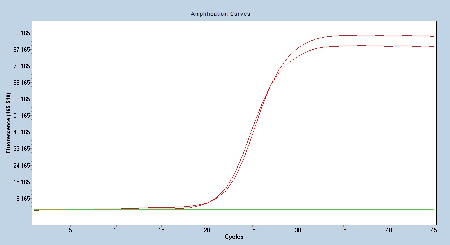 Human CD112/Nectin-2/PVRL2 qPCR 2528