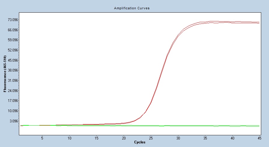 Human B7-H3/CD276 qPCR 5510