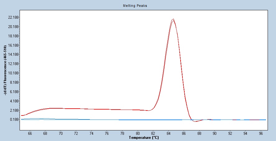 Human B7-H3/CD276 qPCR 5509