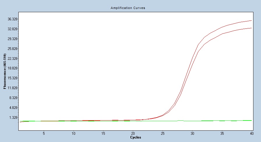 Human SPARCL1 / SPARC-like 1 qPCR 2503