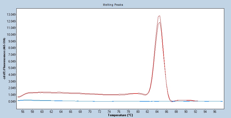 Human SPARCL1 / SPARC-like 1 qPCR 2502