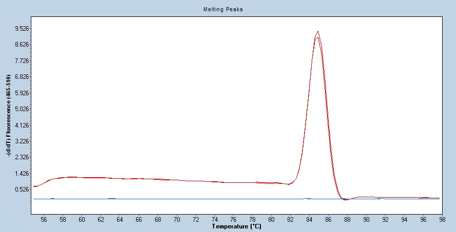 Human Cd97 qPCR 5489