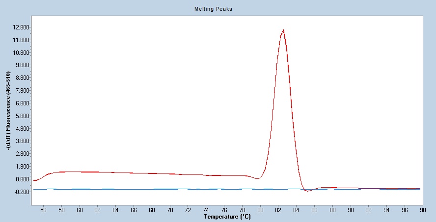 Human CD55/DAF qPCR 5497