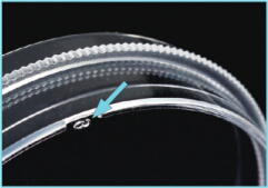 细胞培养皿底部时钟区域设计