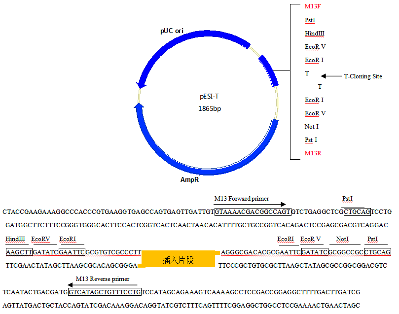 B5PVI(SFFGW%3WH`(9~SXVB.png