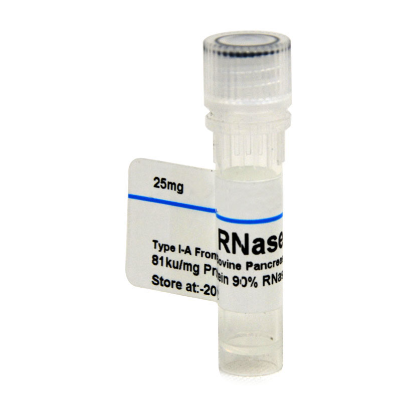 RNase A, DNase Protease free 10mg - 炼石商城