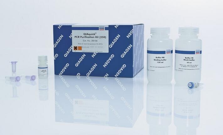 28106 qiaquick pcr purification kit qiaquick pcr产物纯化试剂盒