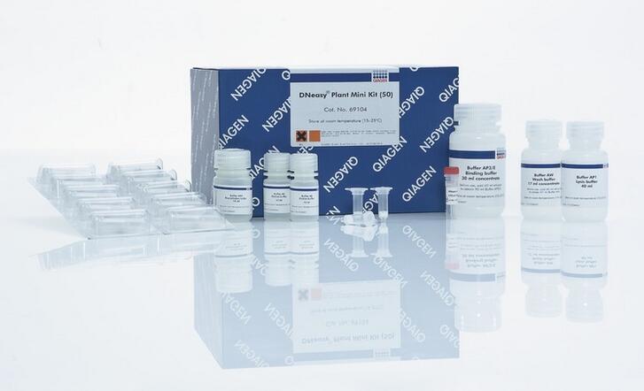 qiagen 凯杰 69106 dneasy plant mini kit 植物基因组dna小提试剂盒