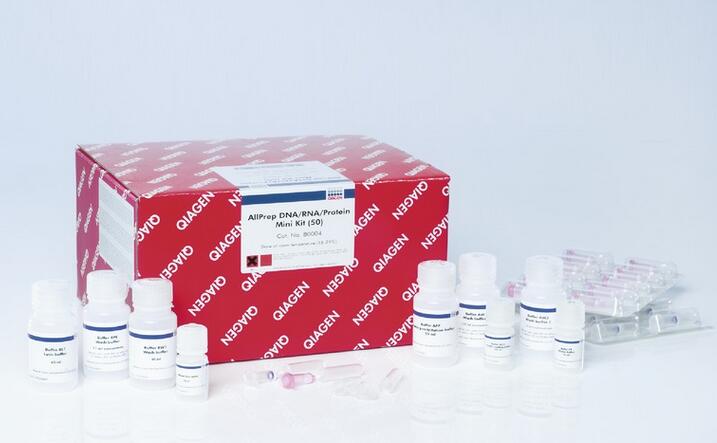 qiagen 凯杰 80004 allprep dna/rna/protein mini kit 从细胞和组织