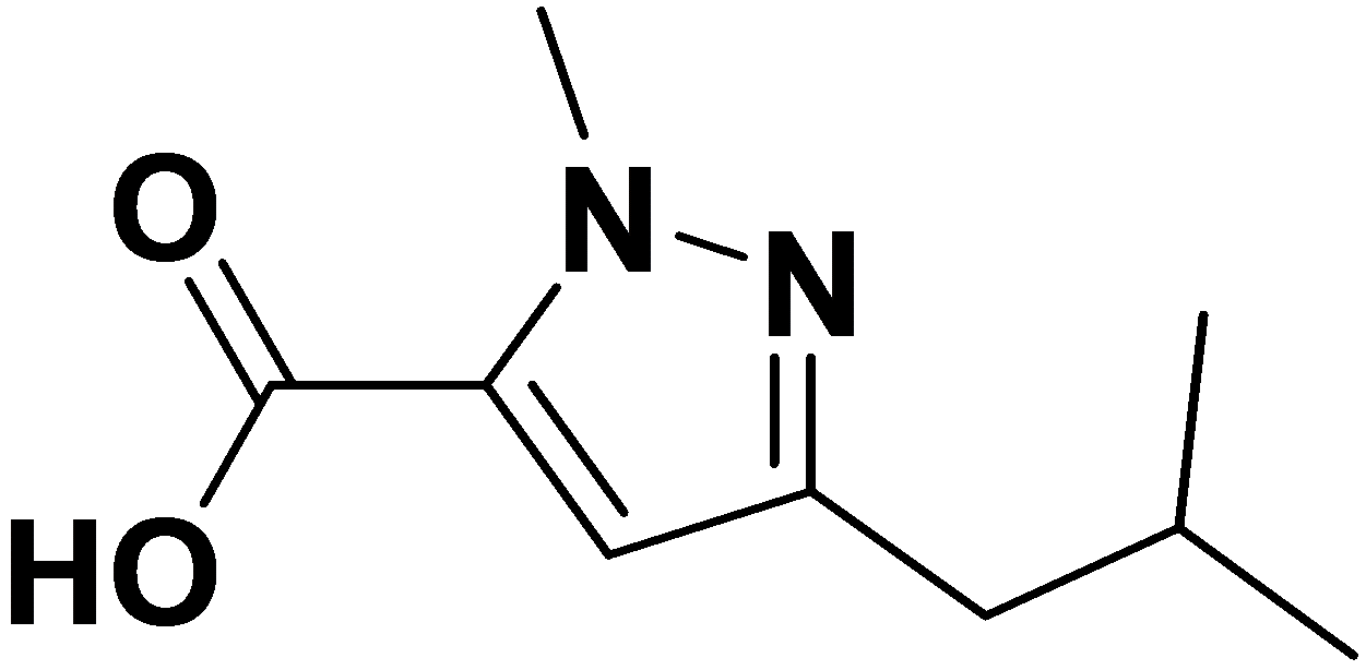 3-异丁基-1-甲基-1h-吡唑-5-羧酸 98%  1g