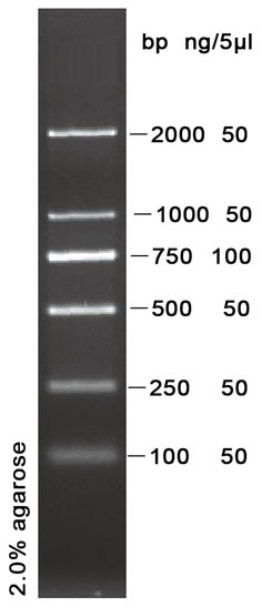 d2000 dna marker 50次