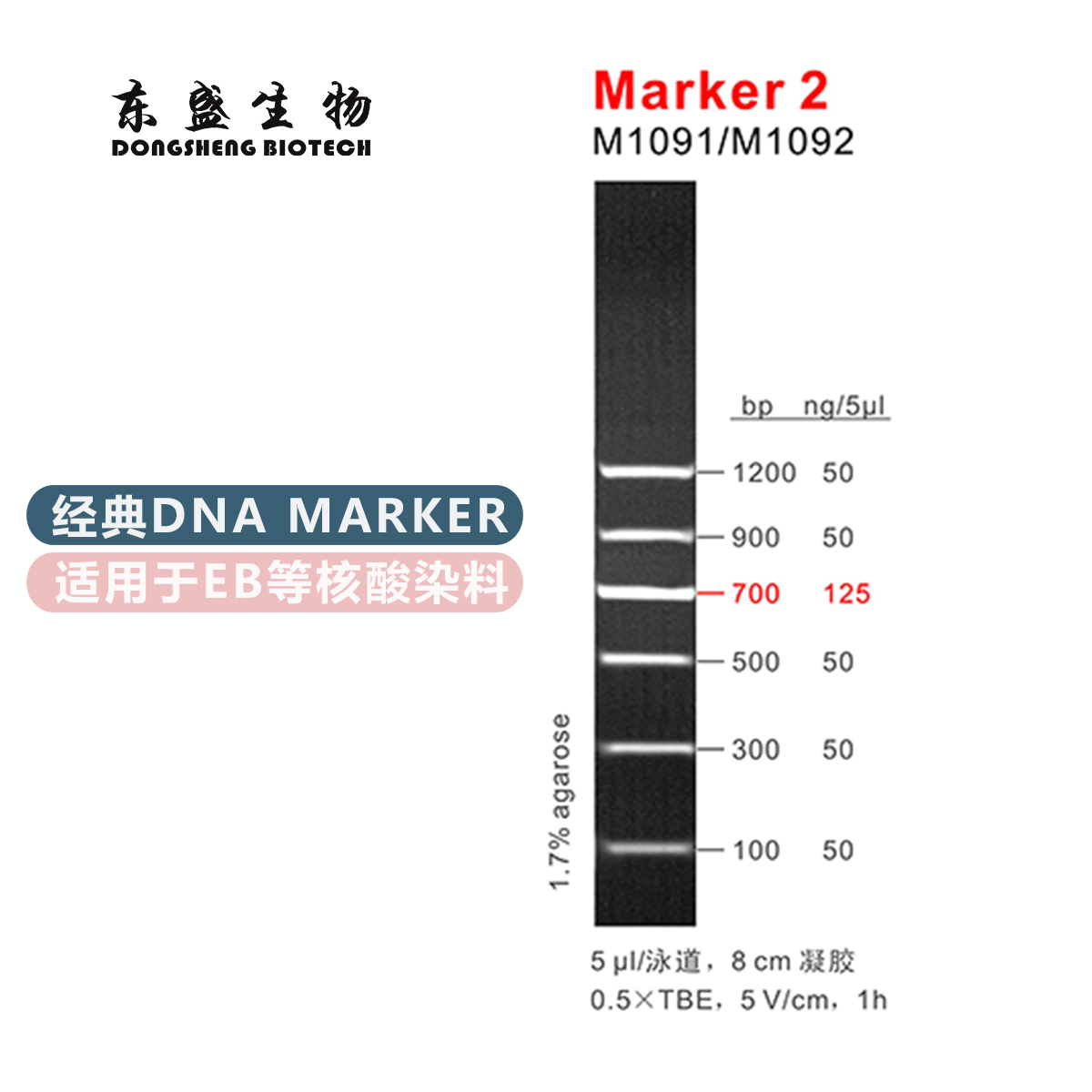 marker2 60次