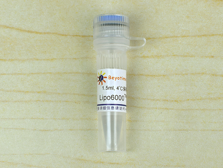 5ml lipo600064转染试剂    1.5ml06866.