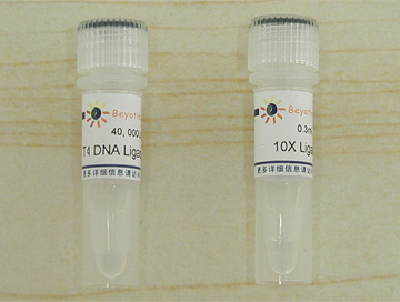 预计6-8工作日到货询价promega 普洛麦格 m1804 t4 dna ligase  500u